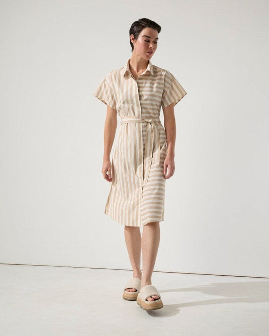 Marco Polo Womens Swing Stripe Shirtdress