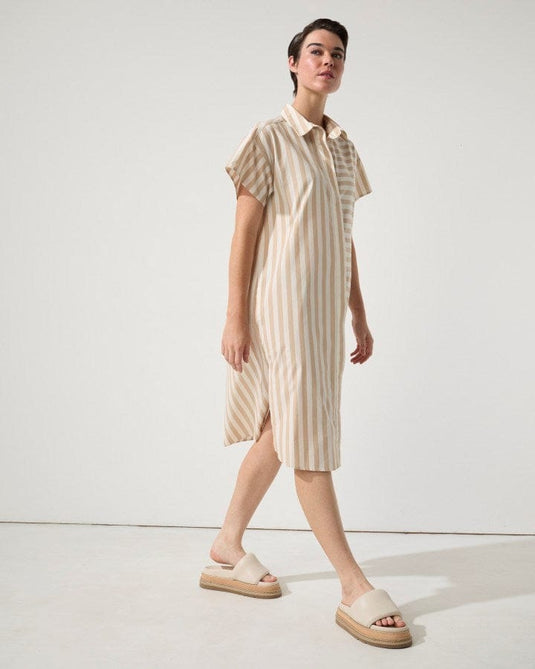 Marco Polo Womens Swing Stripe Shirtdress
