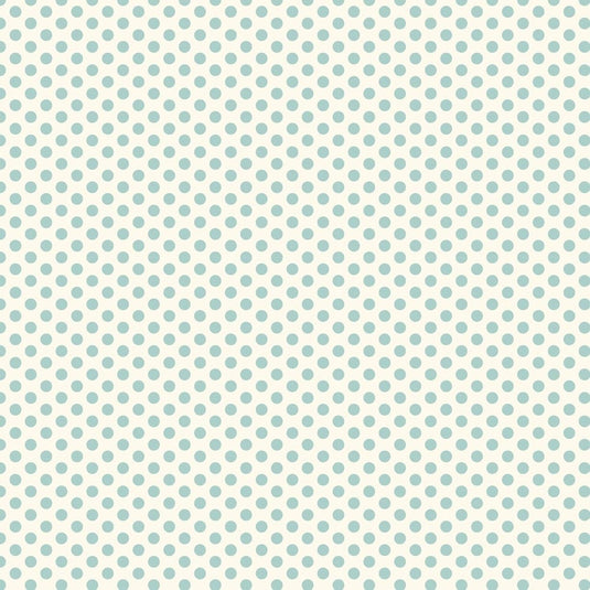 Devonstone Collection Polked Polka Dots - Aqua - 1m