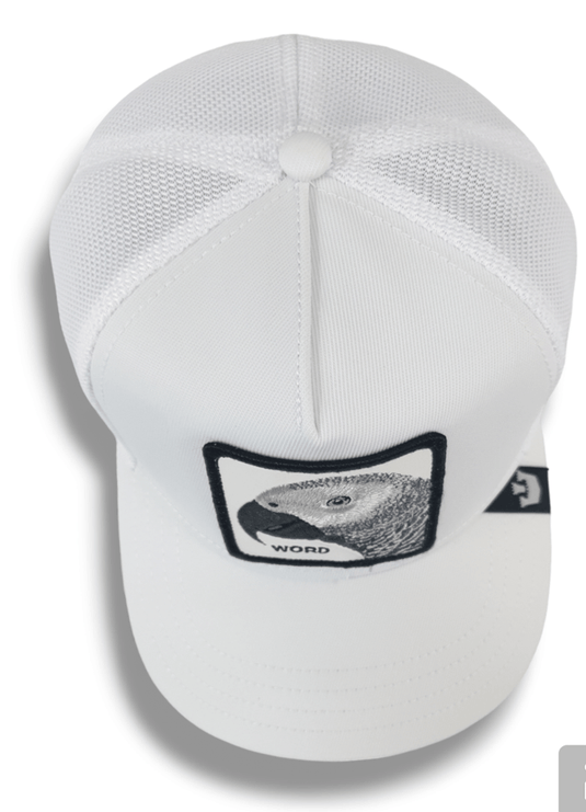 Goorin Bros The Platinum Word Cap - White