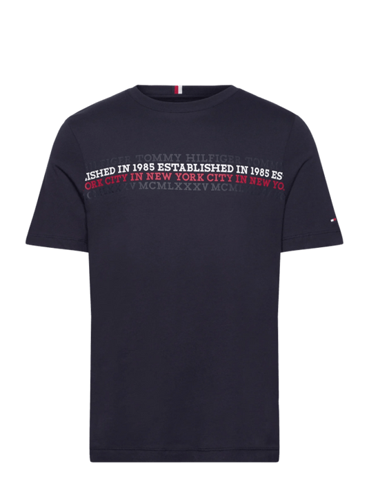 Tommy Hilfiger Mens Stripe Tee