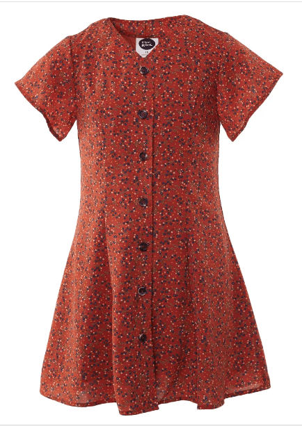 Eve Girl Retro Floral Dress