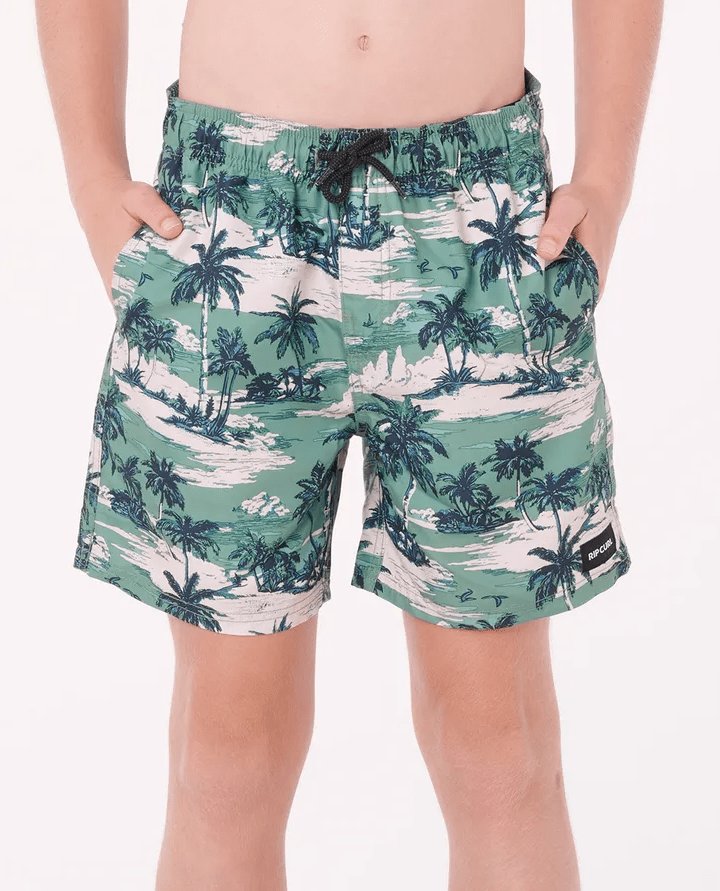 Load image into Gallery viewer, Rip Curl Boys Dreamers Volley Boardshorts - Leaf Green
