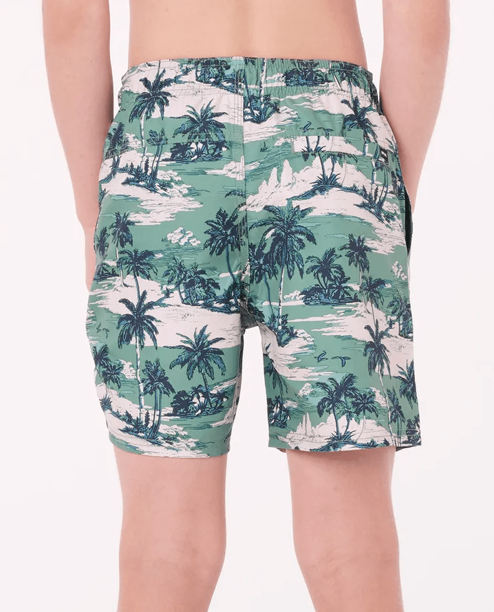 Load image into Gallery viewer, Rip Curl Boys Dreamers Volley Boardshorts - Leaf Green
