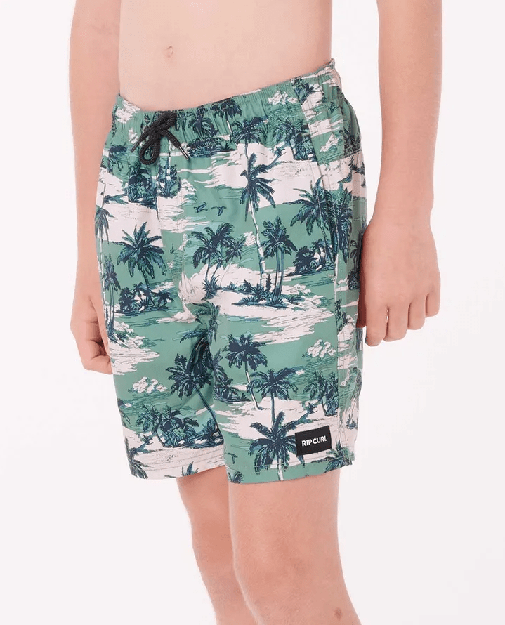 Load image into Gallery viewer, Rip Curl Boys Dreamers Volley Boardshorts - Leaf Green
