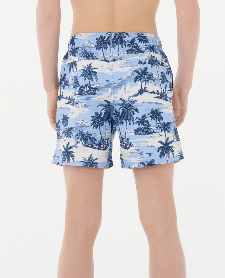 Load image into Gallery viewer, Rip Curl Boys Dreamers Volley Boardshorts - Ice Blue
