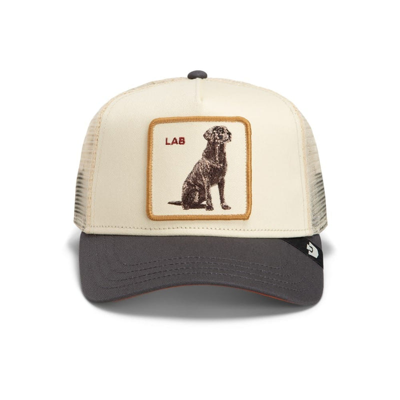 Load image into Gallery viewer, Goorin Bros Shadow Lab Cap
