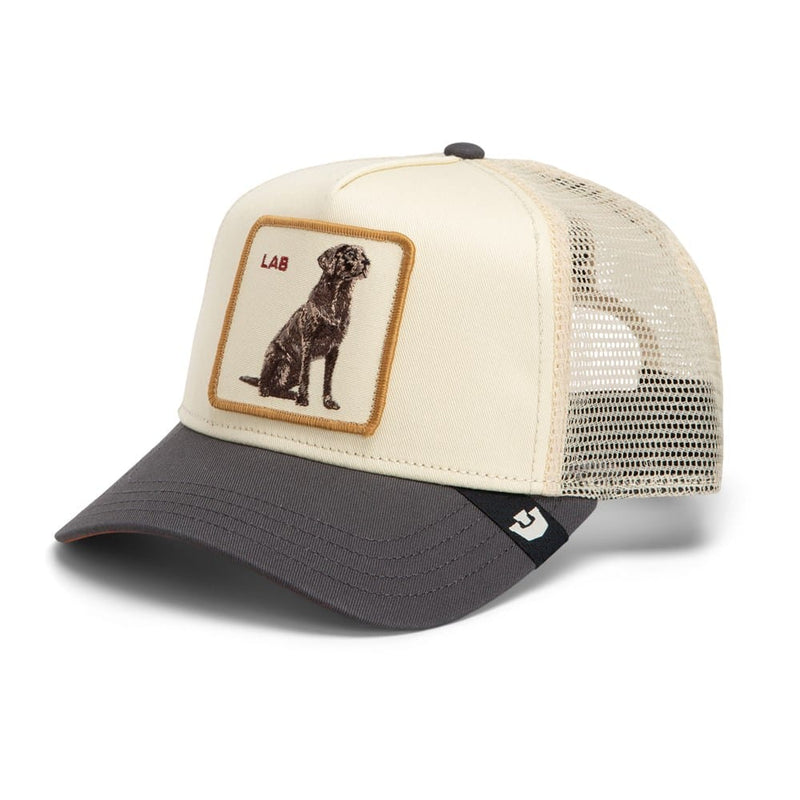 Load image into Gallery viewer, Goorin Bros Shadow Lab Cap
