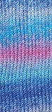 Load image into Gallery viewer, Panda Crypto 8 Ply Yarn
