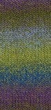 Load image into Gallery viewer, Panda Crypto 8 Ply Yarn
