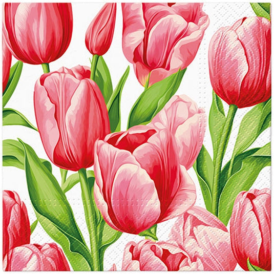 Paw Lunch Napkin 33cm - Tulip Time