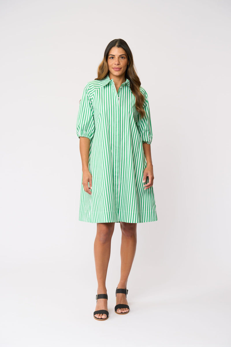 Load image into Gallery viewer, Foil Womens Good Shirt Dress - Mint Stripe
