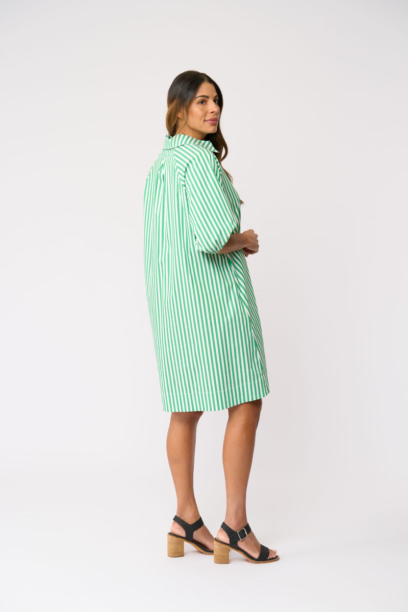 Load image into Gallery viewer, Foil Womens Good Shirt Dress - Mint Stripe

