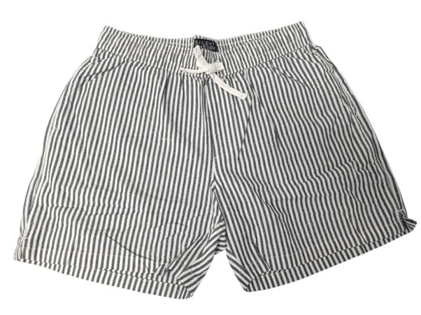 Silent Theory Mens Stripe Linen Shorts