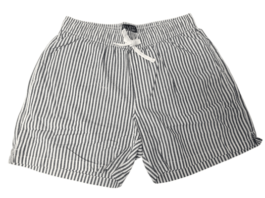 Silent Theory Mens Stripe Linen Shorts