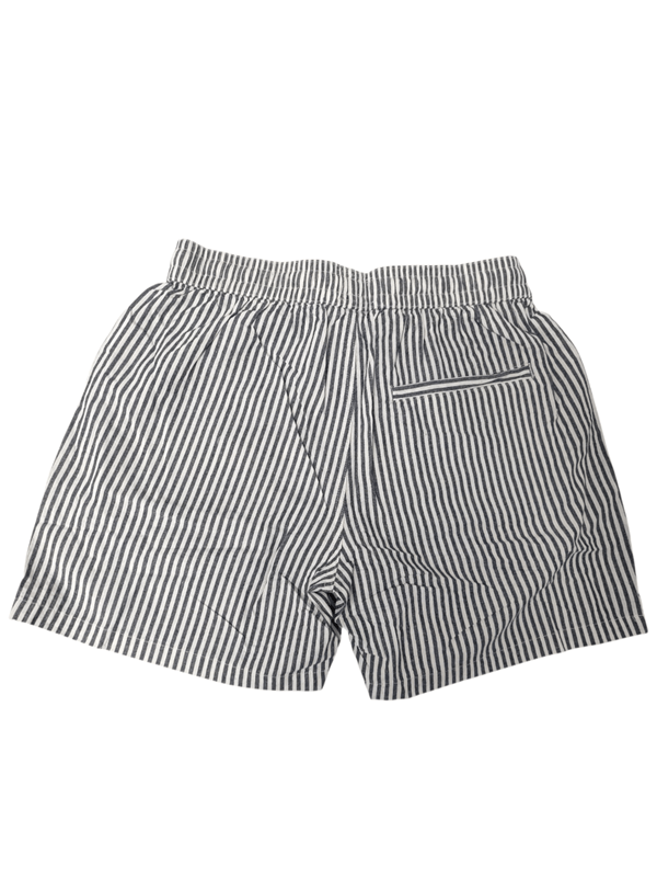 Load image into Gallery viewer, Silent Theory Mens Stripe Linen Shorts
