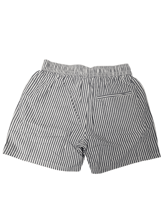 Silent Theory Mens Stripe Linen Shorts