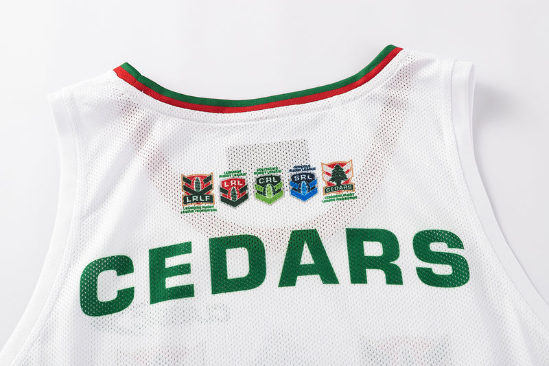 Load image into Gallery viewer, Classic Mens Lebanon World Cup Pro Training Singlet
