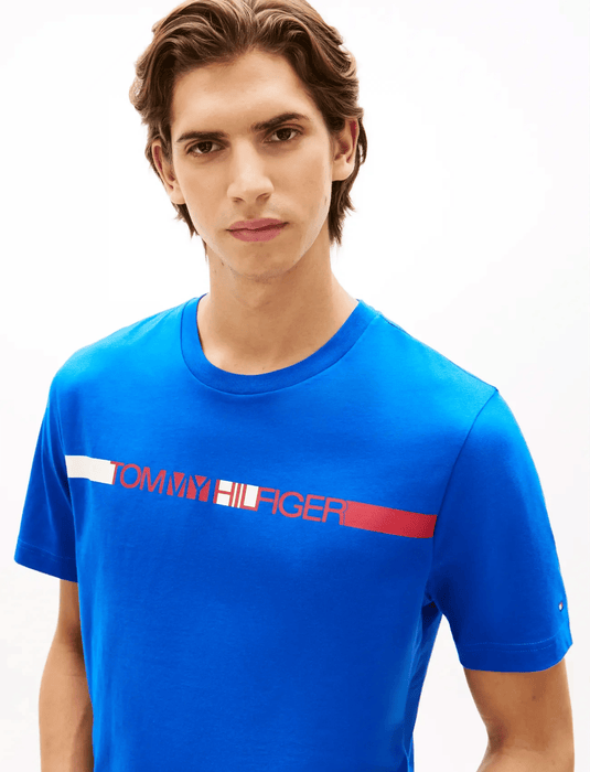 Tommy Hilfiger Mens Brand Love Stripe Tee - Regal Blue