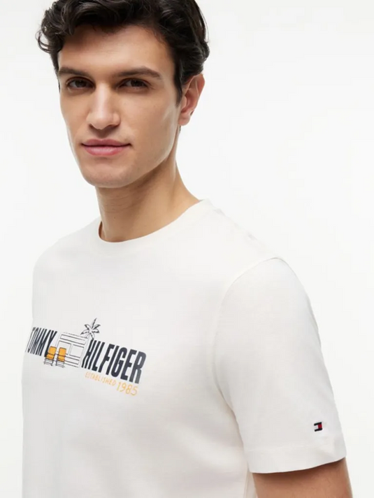 Tommy Hilfiger Mens Logo Graphic Jersey T-Shirt