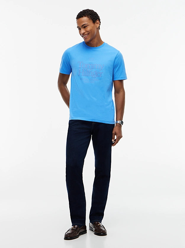 Load image into Gallery viewer, Tommy Hilfiger Mens Tonal Graphic Jersey T-Shirt - Blue Spell
