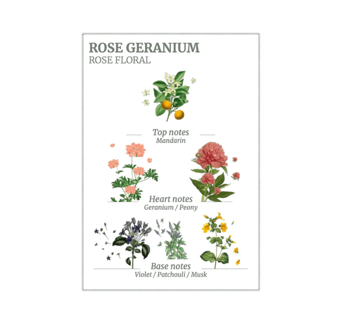 Load image into Gallery viewer, Panier des Sens Rose Geranium Marseille Liquid Soap
