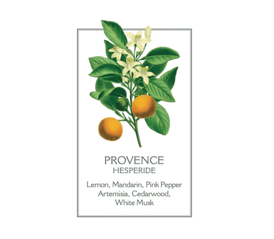 Panier des Sens Provence Liquid Marseille Soap
