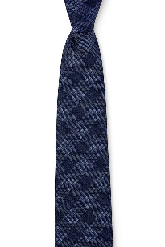 Ted Baker Mens Luxe Check Tie