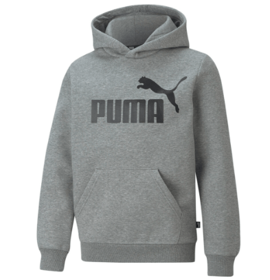 Puma Kids Essentials Big Logo Hoodie