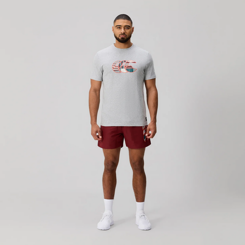 Load image into Gallery viewer, Canterbury Mens Uglies Logo Tee - Classic Marl/Multi
