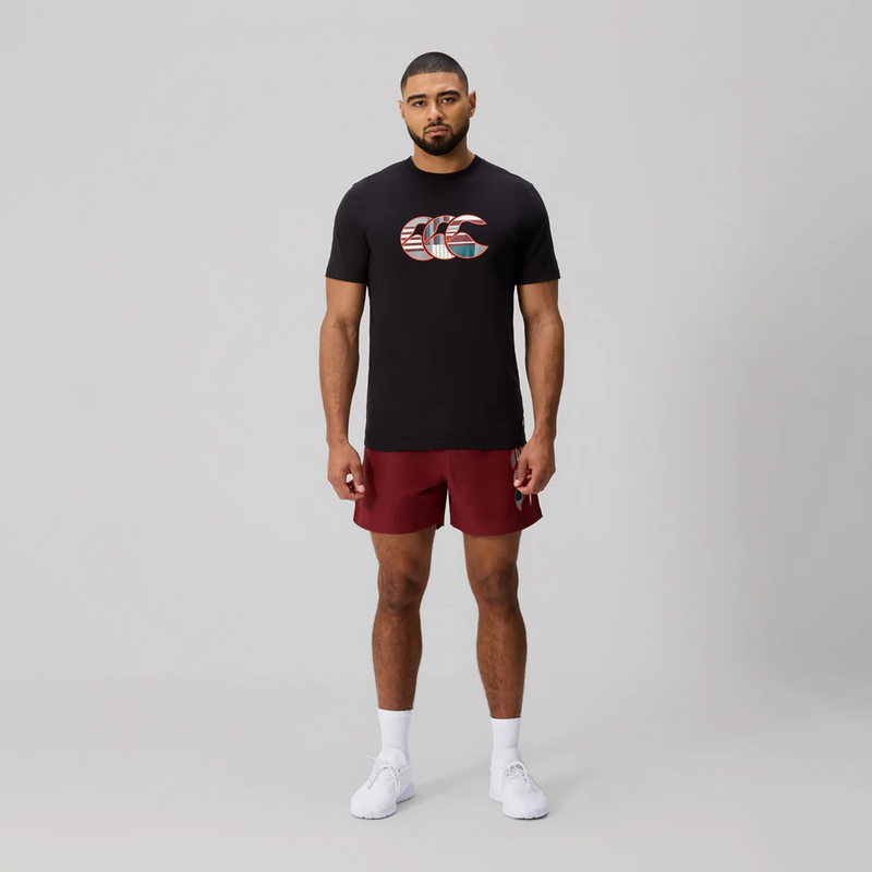 Load image into Gallery viewer, Canterbury Mens Uglies Logo Tee - Black/Multi
