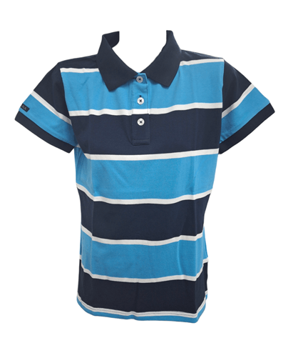 Ritemate Pilbara Womens Y/D Striped Polo