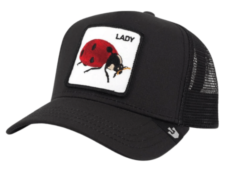 Load image into Gallery viewer, Goorin Bros The Lady Bug Cap
