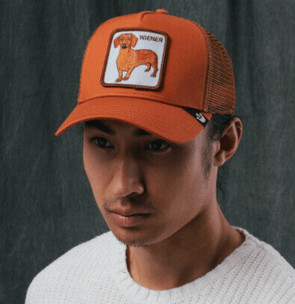 Load image into Gallery viewer, Goorin Bros The Weiner Dog Cap
