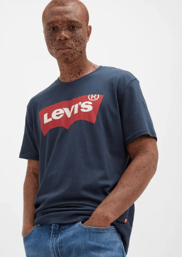 Levis Mens Graphic Set-In Neck Tee