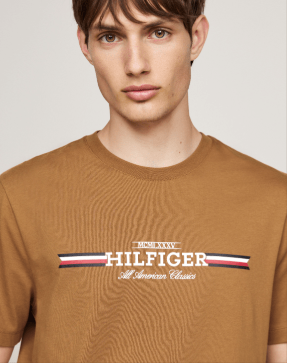 Load image into Gallery viewer, Tommy Hilfiger Mens Hilfiger Ches Stripe Tee Shirts
