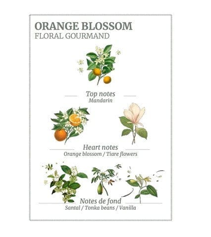 Saison Panier des Sens Orange Blossom Hand Cream - 75ml