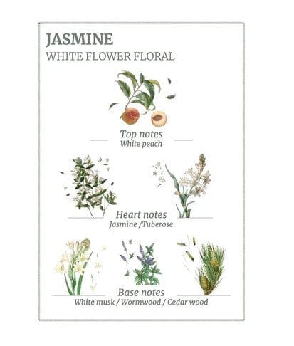 Load image into Gallery viewer, Saison Panier des Sens Precious Jasmine Hand Cream - 75ml
