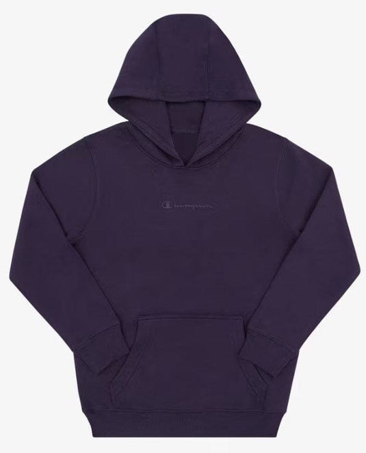 Champion Kids Tonal Script Hoodie