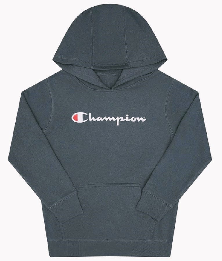 Load image into Gallery viewer, Champion Kids Script Hoodie
