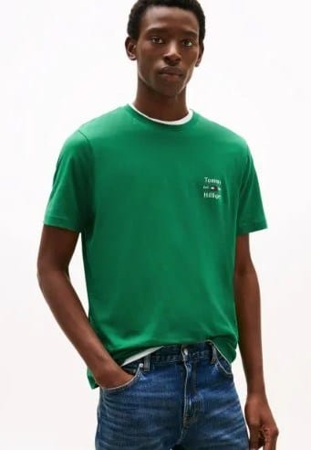 Load image into Gallery viewer, Tommy Hilfiger Mens Logo Crew Neck T Shirt
