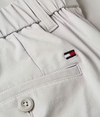 Load image into Gallery viewer, Tommy Hilfiger Mens Brookyln Tech Shorts
