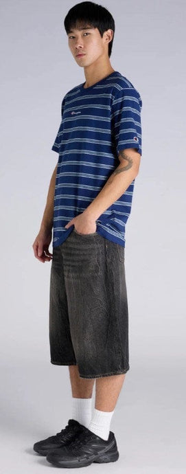 Champion Mens Script Stripe Tee - Blue Stripe