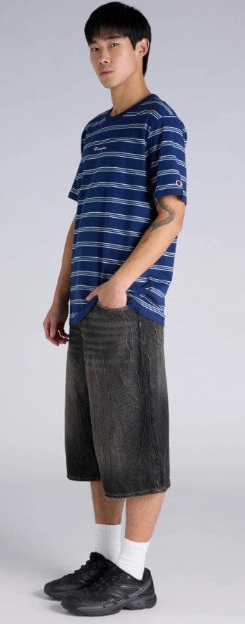 Champion Mens Script Stripe Tee - Blue Stripe