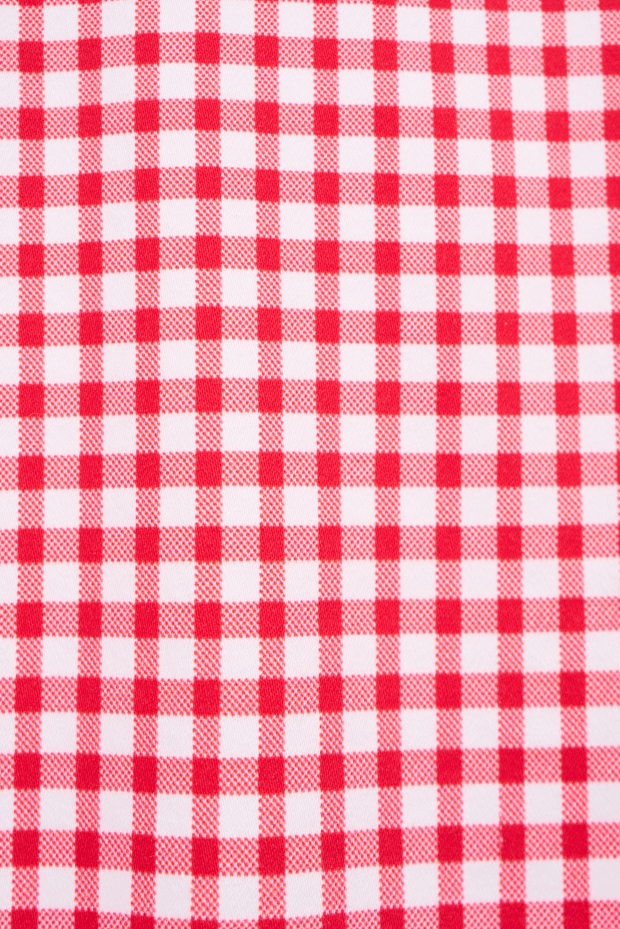 Load image into Gallery viewer, Vassalli Womens Printed Lightweight Skirt With Centre Back Vent Skirt - Red Gingham
