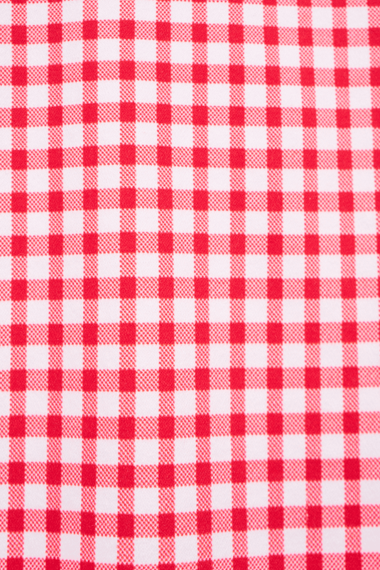 Vassalli Womens Printed Lightweight Skirt With Centre Back Vent Skirt - Red Gingham