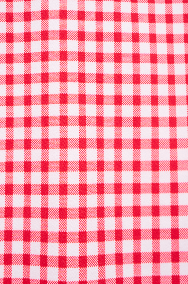 Load image into Gallery viewer, Vassalli Womens Printed Lightweight Straight Leg Short - Red Gingham
