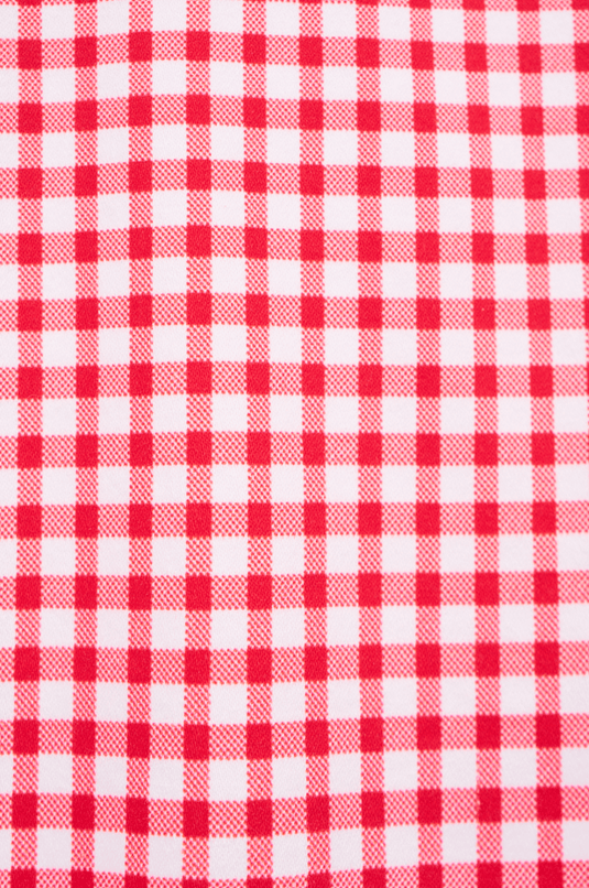 Vassalli Womens Printed Lightweight Straight Leg Short - Red Gingham