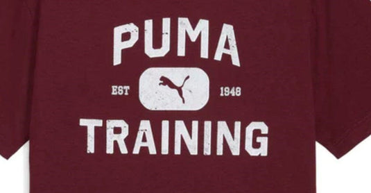 Puma Mens Graphics Train Logo Relaxed Tee - Ruby Shimmer