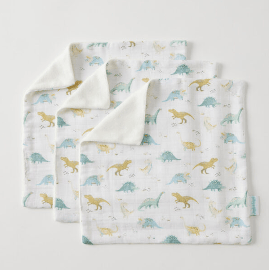 Pilbeam Jiggle & Giggle Dallying Dinosaurs Face Washer Set of 3